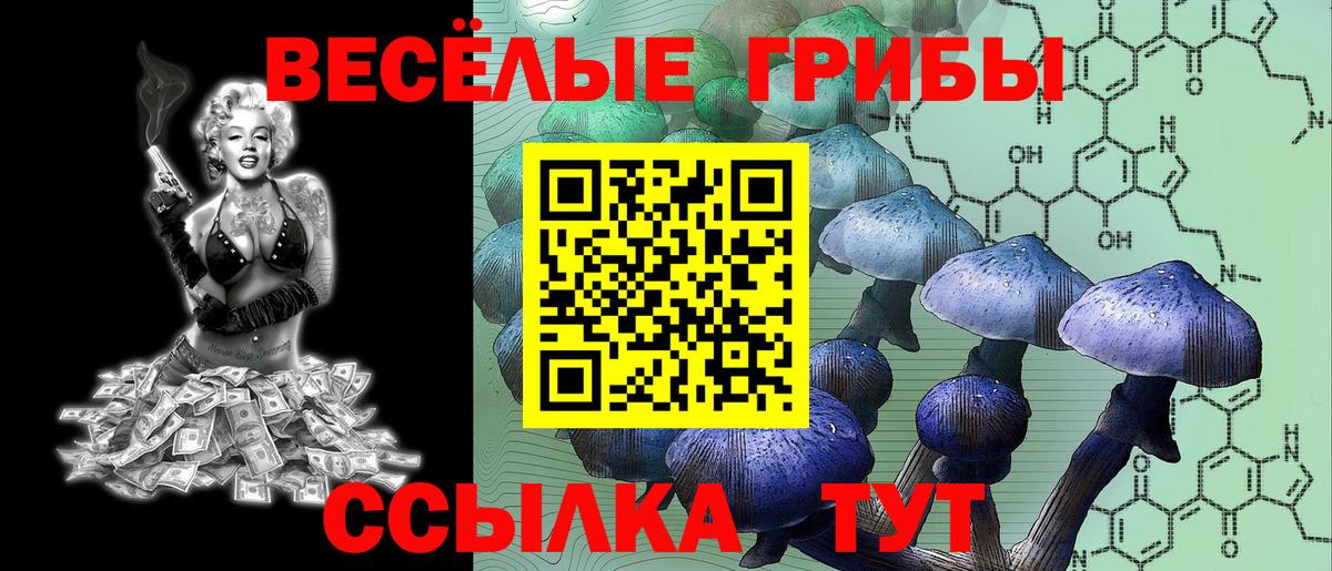 Галлюциногенные грибы Magic Shrooms Алапаевск