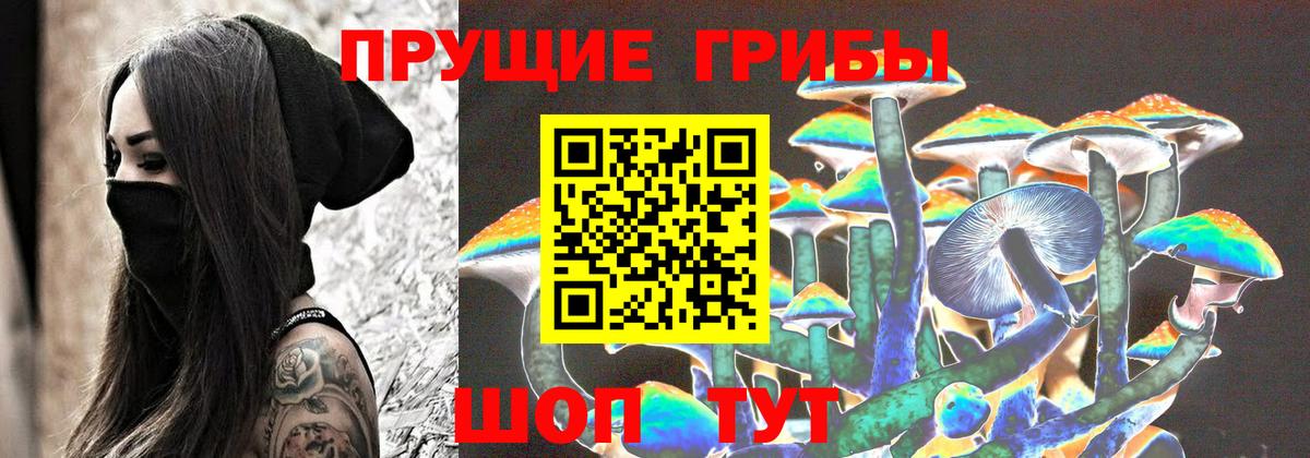 Галлюциногенные грибы Psilocybe  Вход с VPN  Алапаевск 